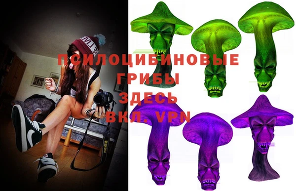 гашик Абинск