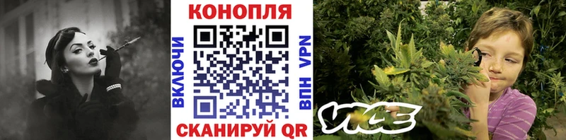 даркнет наркотические препараты Тбилисская Каннабис план
